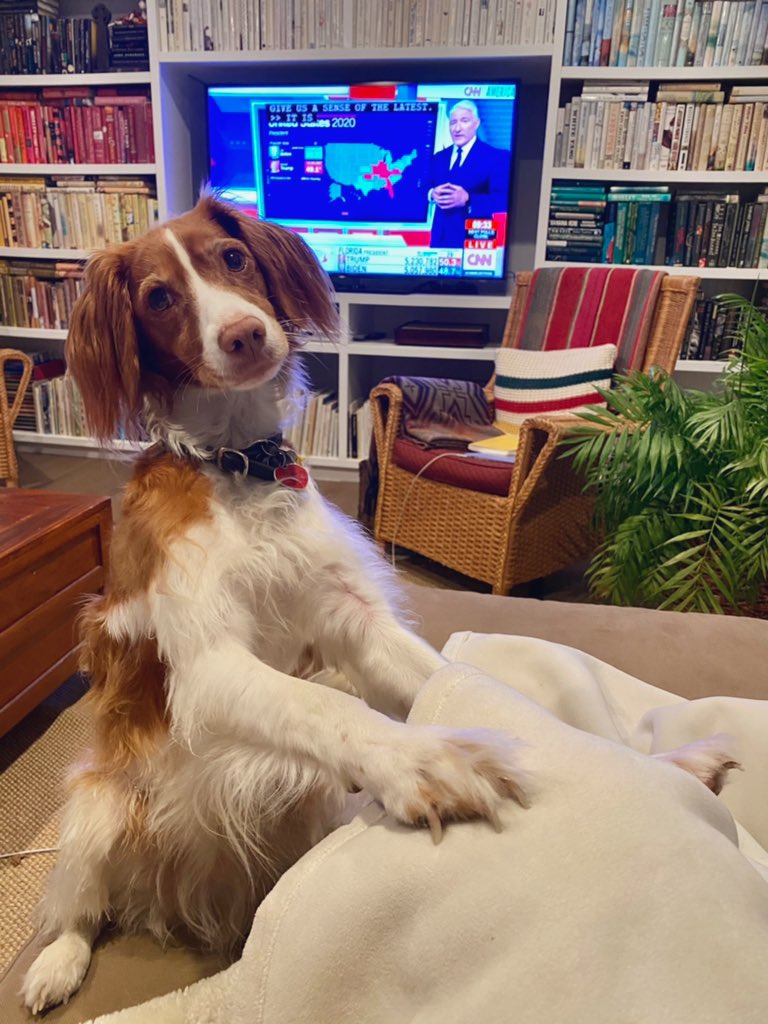 Ashley Mayer tweet media