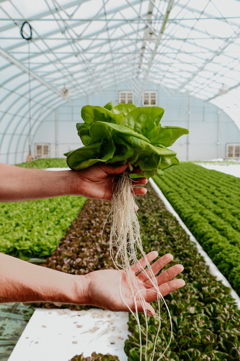 Lepp Farm Market tweet media