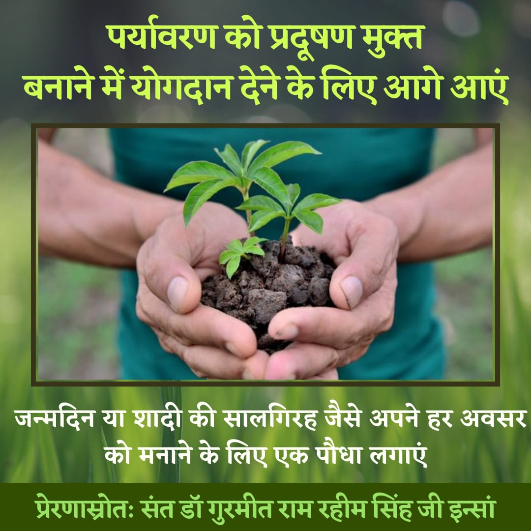 pawpreet's tweet photo. Let's #PlantTreesSaveEarth . We can do plantation on special occasion like birthday , anniversary. I also do plantation on my birthday with inspiration of @Gurmeetramrahim ji insan. https://t.co/d1Z19dSptx