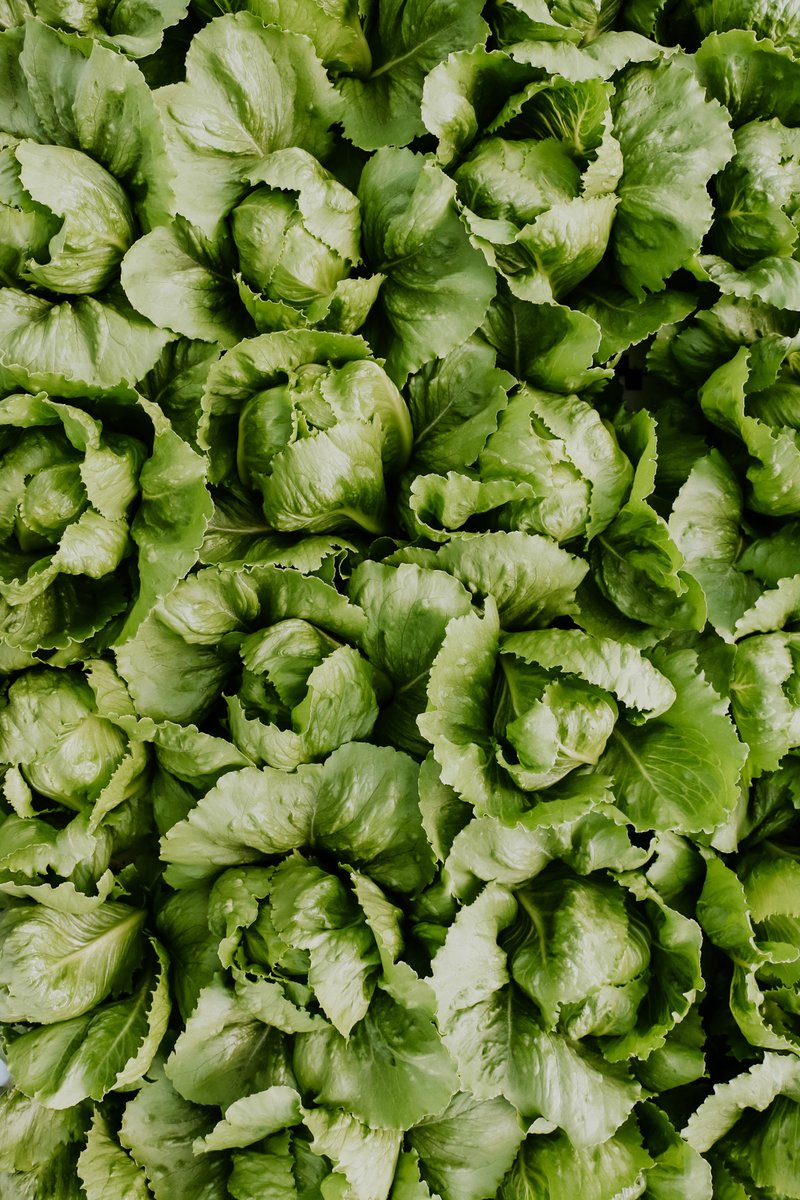 Lepp Farm Market tweet media