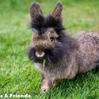 Bridget in her younger years  #NewProfilePic