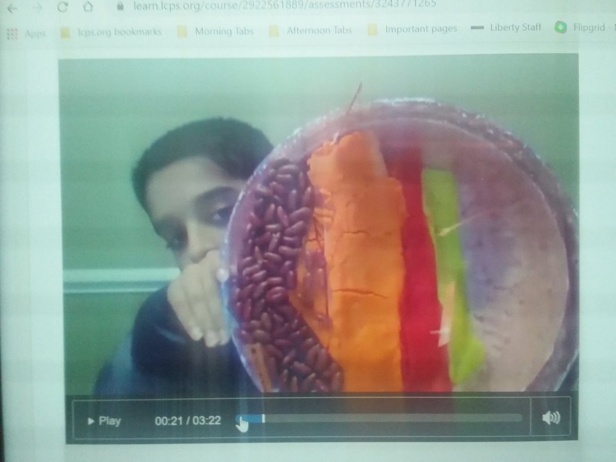 Tiffany Hauser tweet media