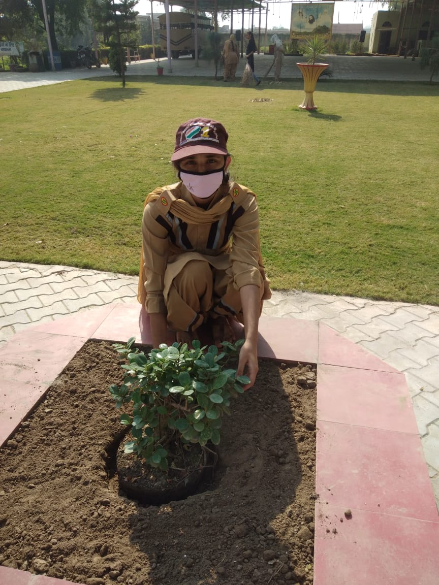 Guri146191's tweet photo. Rivers, oceans and 🌲🌱 are the Jewels of our earth ,which are getting spoiled by the pollution. Like we all clean our houses on Diwali,in the same way earth is our 🏠 so let's plant trees and decorate the earth.🌳🌴are the most helpful in reducing pollution.#PlantTreesSaveEarth https://t.co/NS4NROT27E