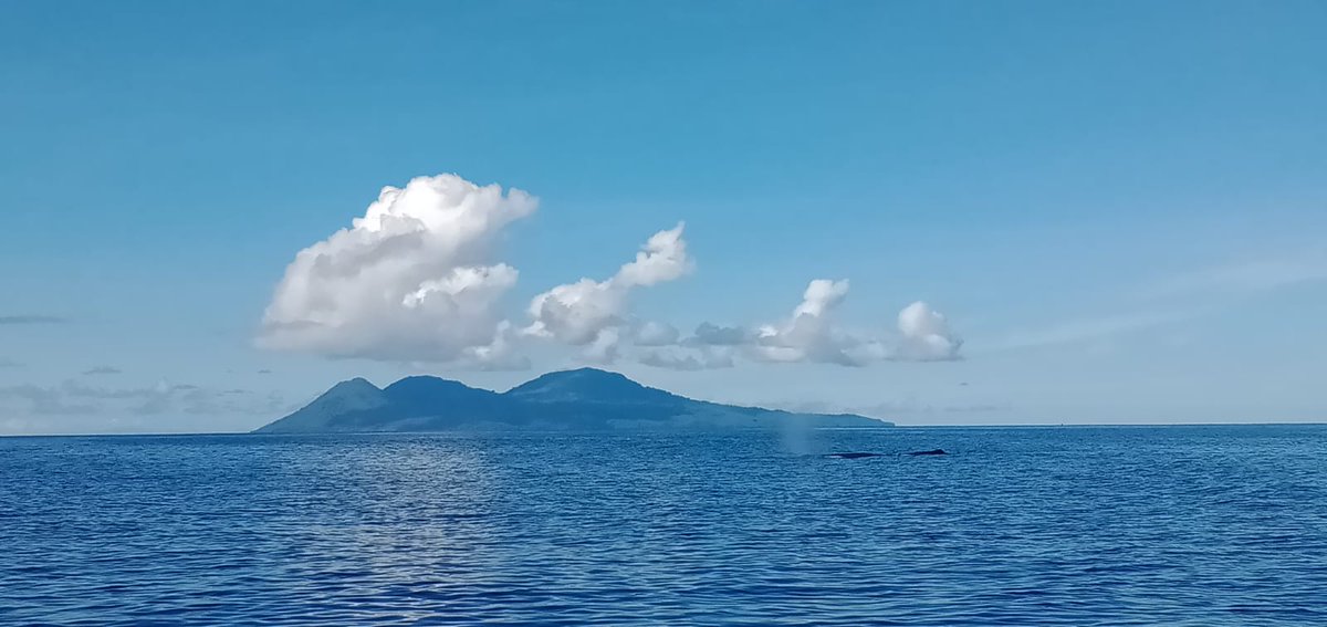 ADI_charity's tweet photo. Our #WestNewBritain #healthpatrol has returned from 10 days in Bali/Witu #PNG where they provided #healthcare services to 1000 patients across 5 disciplines. Thanks to #ANCP, #PNGAusPartnership for helping us improve #healthsecurity for #remotePNG communities. @dfat, @AusAmbRHS https://t.co/YzQVhW4rfv