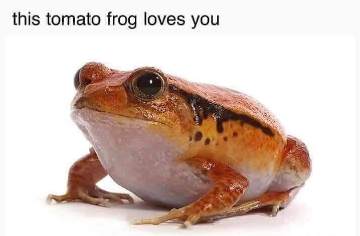 WholesomeMeme's tweet photo. https://t.co/c6vpc7zVhR