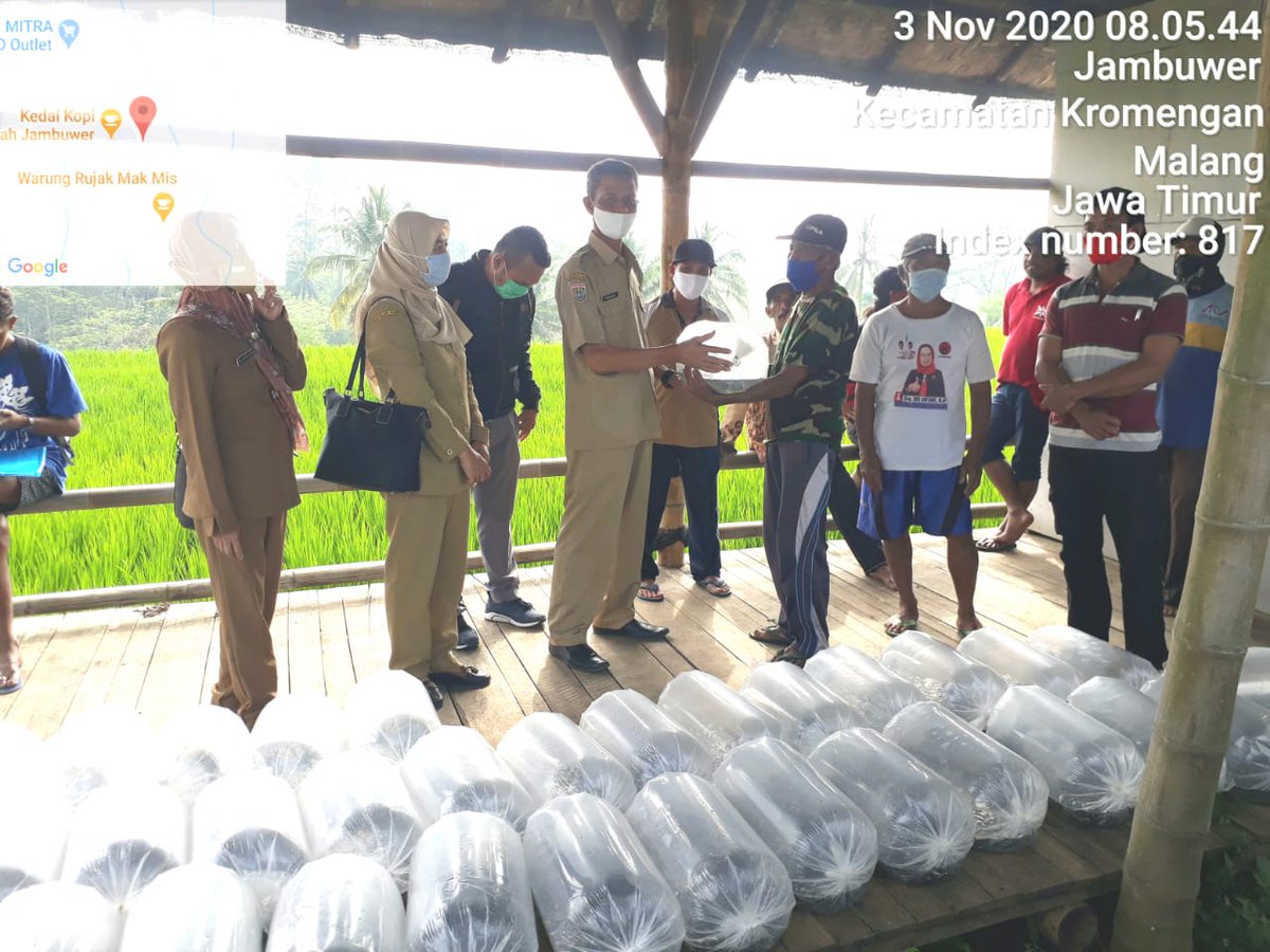 Perikanankabmlg's tweet photo. 3/11 Kabid Pengelolaan Pembudidayaan Ikan melakukan Serah Terima Paket Budidaya Mina Padi &amp; Penebaran Benih Ikan Nila kepada kelompok Mekar Tani di Desa jambuwer Kec.Kromengan. penyerahan paket di dampingi dari Kasi PPI, Penyuluh perikanan wilayah kec.Kromengan dan Kades Jambuwer https://t.co/mI0RUE68m9