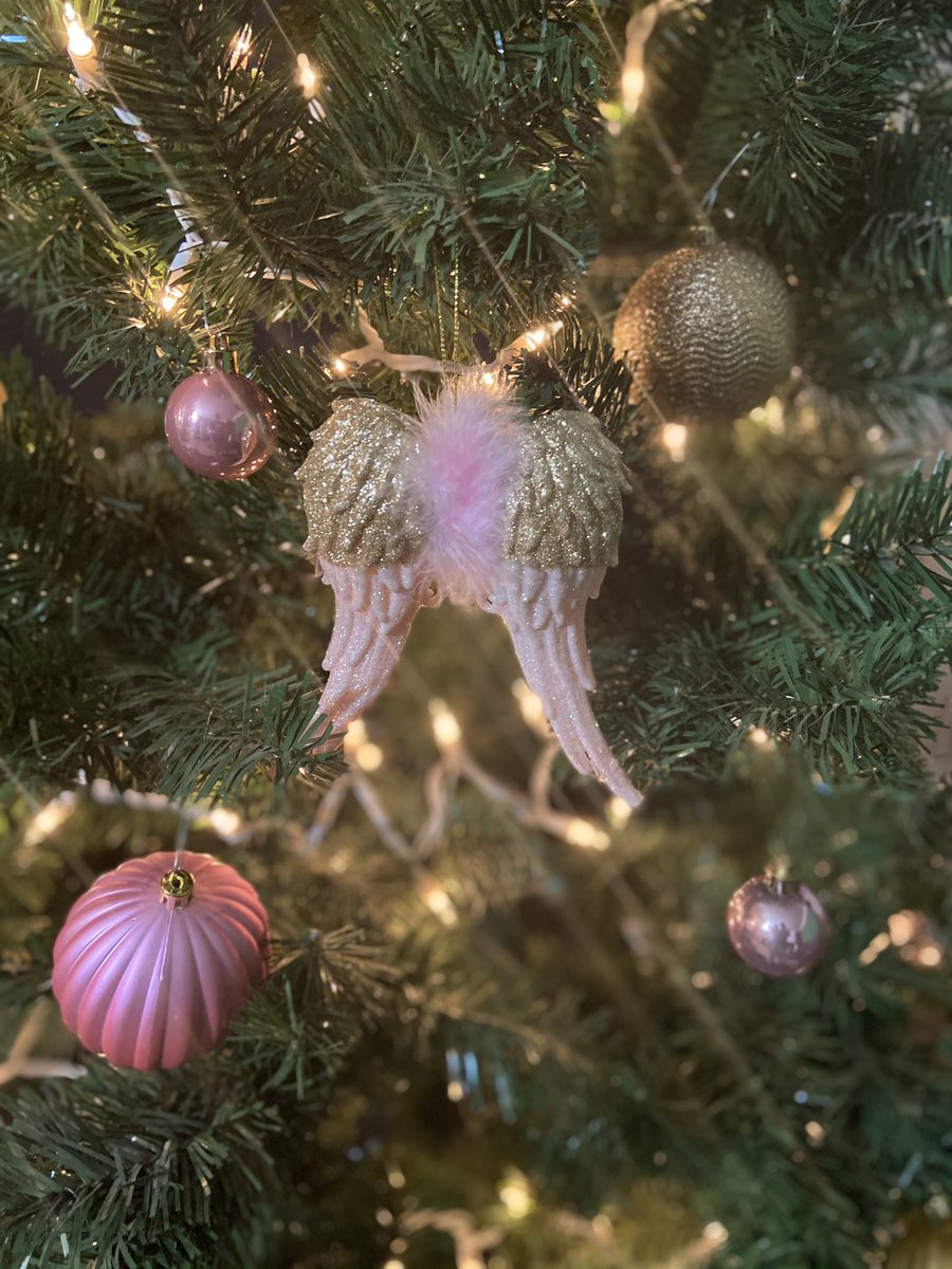 peanutt626's tweet photo. Itโs coming up on a year since baby has been. Everything is so different without her. In honor of her birth and transition day 12/24, I have switched ornaments and I got my baby her wings. #angelbaby #girldad #angelparent #kynnidylanae๐ผ๐พ #restwell https://t.co/tToMlBs6lI