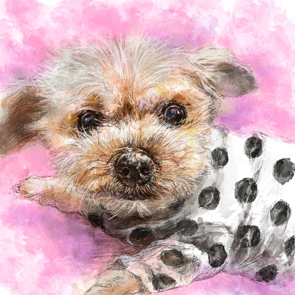 mellzzcraft's tweet photo. Excited to share the latest addition to my #etsy shop: Digital Pet Portrait, Portrait, Custom Portrait, Pet Portrait, Memorial Portrait #pet #petportrait #petsupplies #portrait #cats #dogs #catportrait #dogportrait #presentfordog https://t.co/x13MUJmNdf https://t.co/3HjwuH5JRW