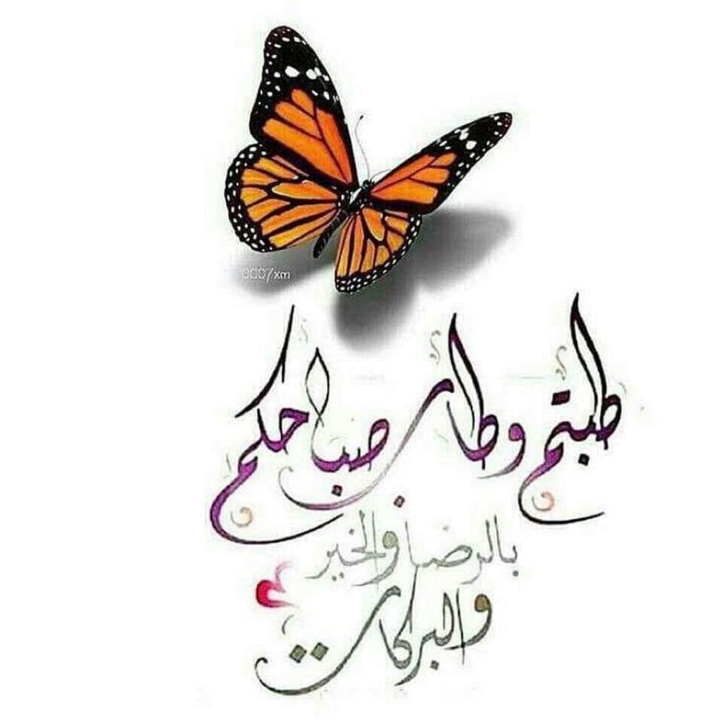 أحبتي الكرام 💐