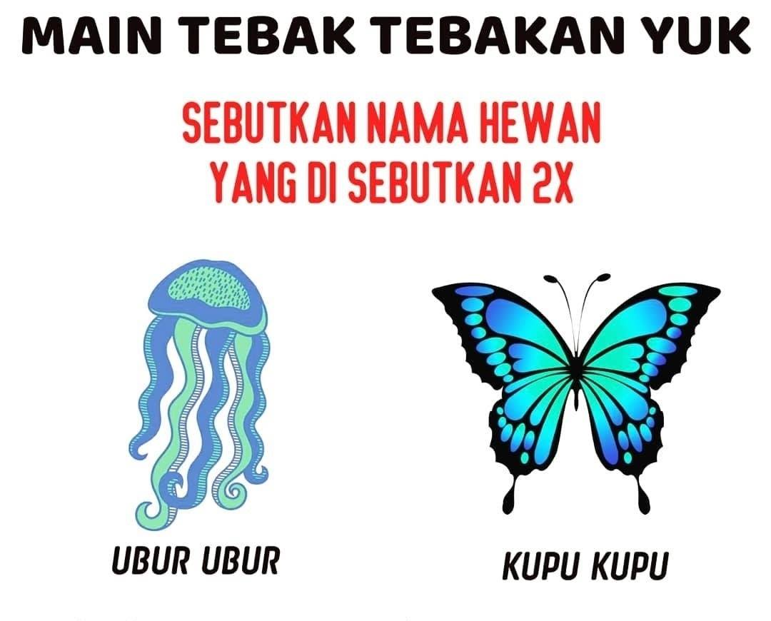 Laba-laba? Apalagi yaa? 🤔🤔