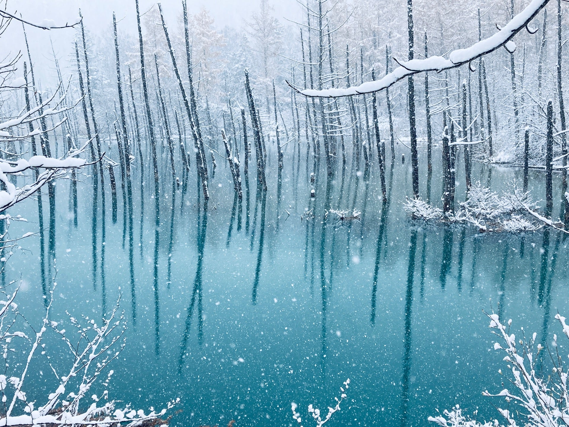 ゲッキー 激安 超特価商店街 Twitterren Macの壁紙を撮りに来ました 青い池 In 美瑛町 北海道 T Co Vyw9s541ct T Co Vqair9vyfe Twitter