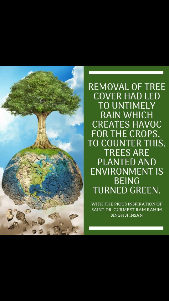miniinsan333's tweet photo. Start ur happy moments by giving contribution  #PlantTreesSaveEarth
 It will b beneficial 4 da environment nd our future generations as it will provide a cleaner environment. 45 million trees have been planted till date by the @DSS volunteers with the inspiration of Saint Dr.@MSG https://t.co/xq886GeRi3