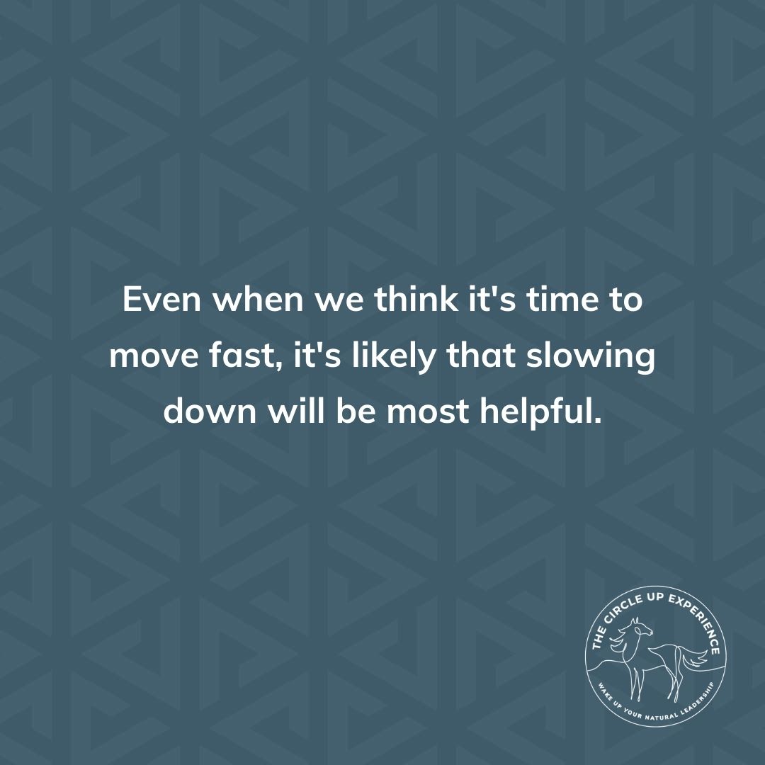 bethAkillough's tweet photo. We must come from a grounded and stable place or we are the spark that spreads into a destructive emotional fire.  https://t.co/oxJ6fSyYHo @MomsRising.org #MentalHealth #WellBeing #SelfCare #Resilience #TheHumanHerd #NaturalLeadership #RisersandShakers #MomsRising https://t.co/BhbC6Ch6d4