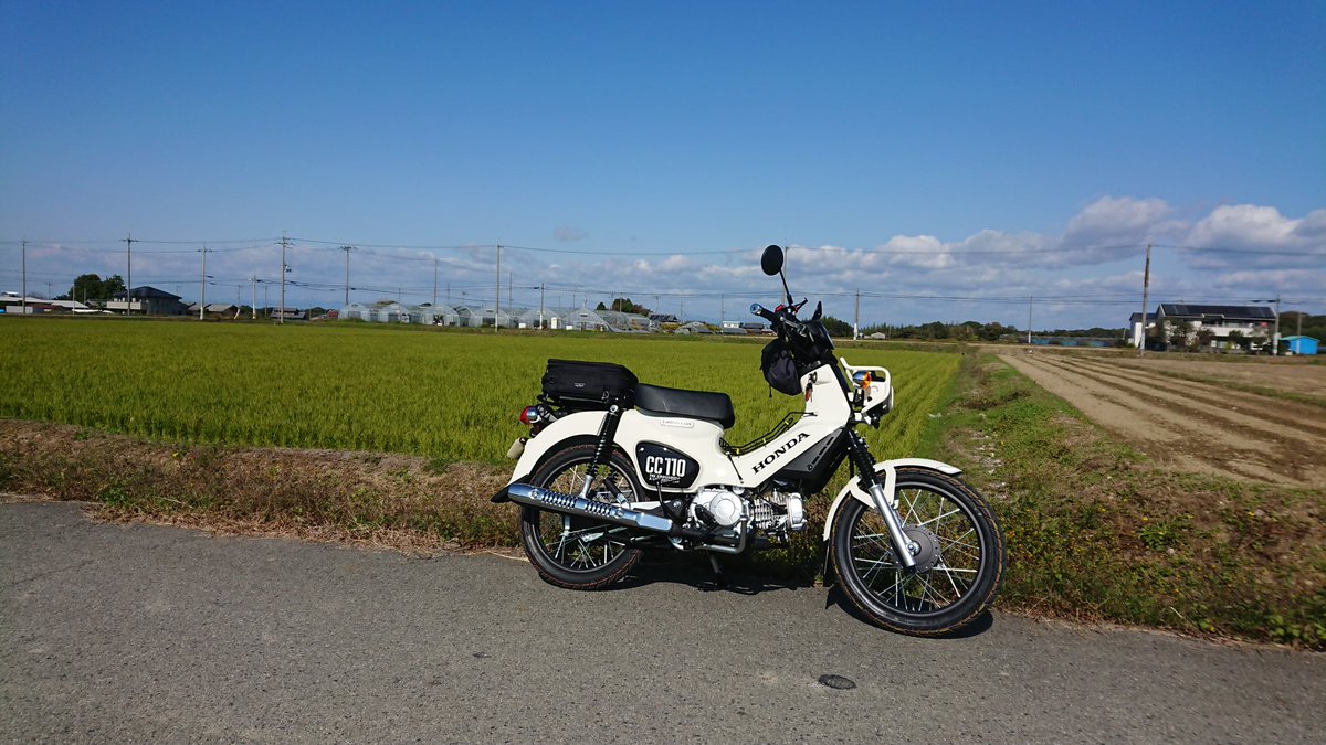 だいきちがかり/クロスカブ tweet media