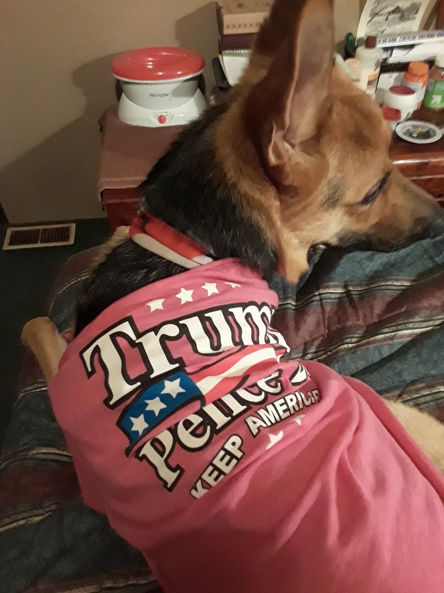 CappettaCarole's tweet photo. @realDonaldTrump https://t.co/p1Q7qA0G09