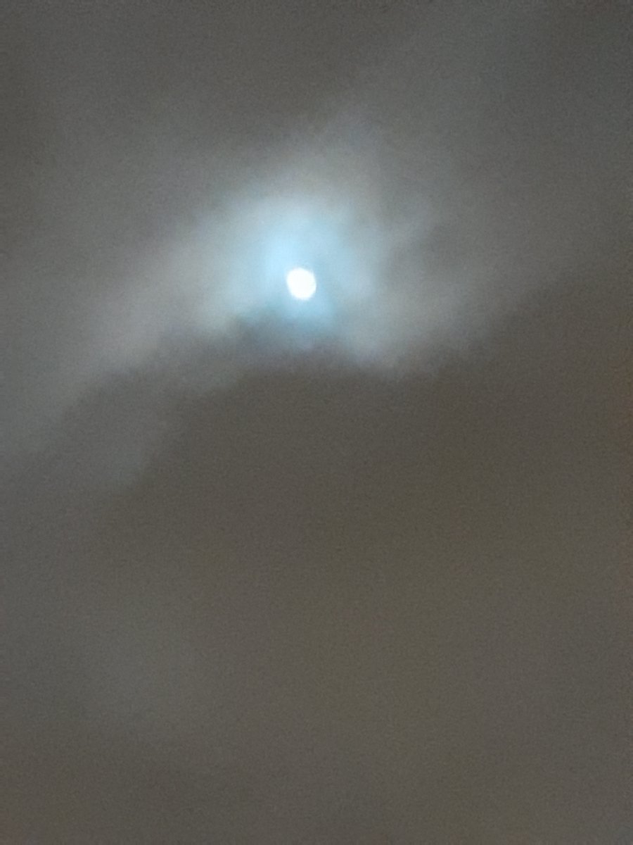 RocheJacqueline's tweet photo. #Watch #Listen 
#IWiLLLoveYouForeverIPromiseYou
#MichaelBolton #YouTube @Youtube
#Music #Music5 
#SheLovesHim #HeLovesHer
#Him #Her #love 
" He Is Her Rare Blue Moon." 
#BlueMoon #BlueMoon2020
#photographer @RocheJacqueline 
#PhotographyIsArt
#LoveStory💜
https://t.co/qtbNjBVJRr https://t.co/blbcdiLSuy