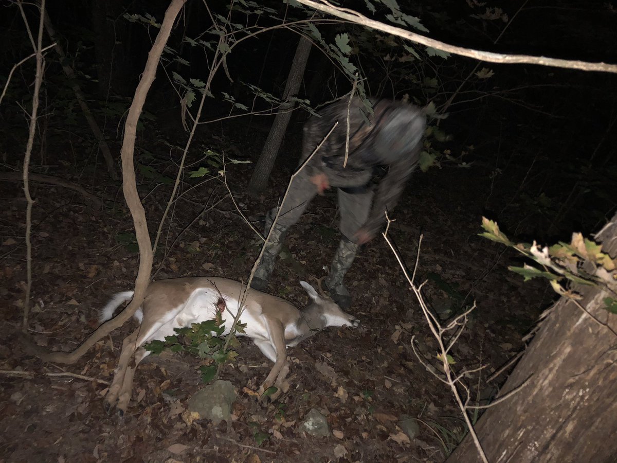 CrossbowKristy's tweet photo. Ole hunting partner let the air out of #buck #TreFive tonight with the #MathewsCreed ๐น๐ฆwhen he came feeding down #BuckHighway https://t.co/IOLbxtBWKQ