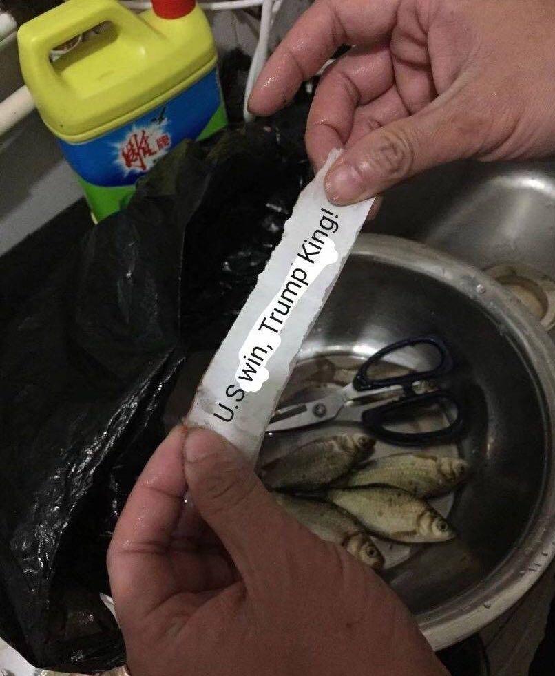 blacklightszone's tweet image. 