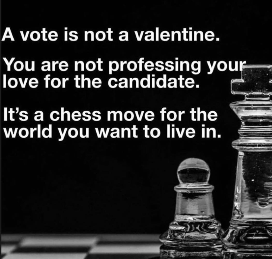 A vote is not a valentine.
You are not professing your love for the candidate.
It's a chess move for the world you want to live in. 
<a href="/BajaGazette/">Baja Gazette</a> <a href="/BustingFakeNews/">Fake News Busters</a> <a href="/BajaNews/">Baja News</a> <a href="/411Baja/">411 Baja</a> 
#BCSIN  
blog.gringo-gazette.com
