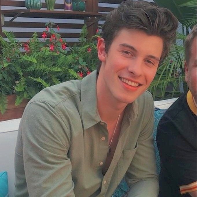 — sunflower, vol. 6