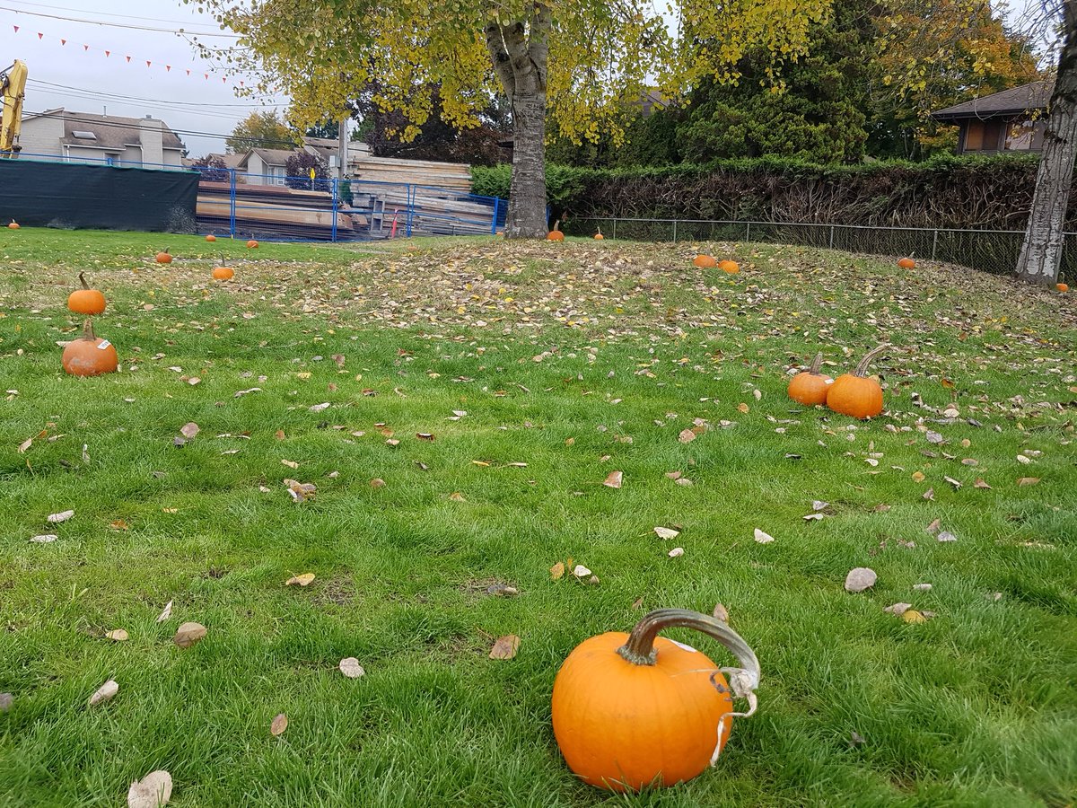 Allison Lau tweet media