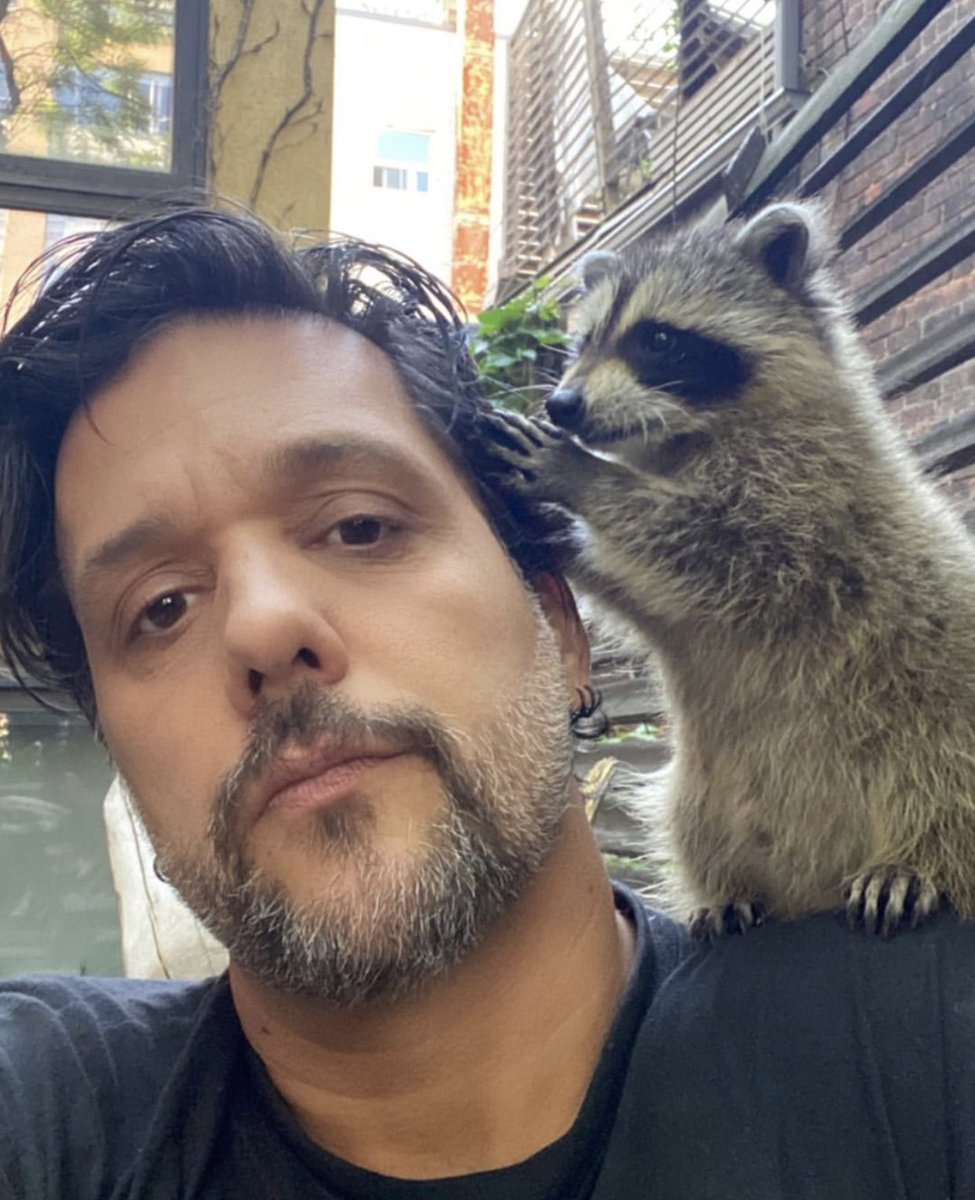 George Stroumboulopoulos 🐺 tweet media