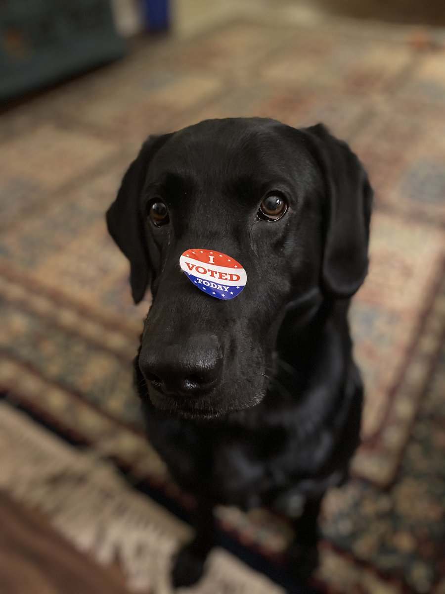 TalkingWithTram's tweet photo. Itโs #ElectionDay I was number 80 at my polling place in #AudrainCounty ๐บ๐ธ Max wants to know: What number were you? โค๏ธ๐ค๐ #Election2020 #IVoted #WillWearStickerForTreats https://t.co/jfVWlp98g0