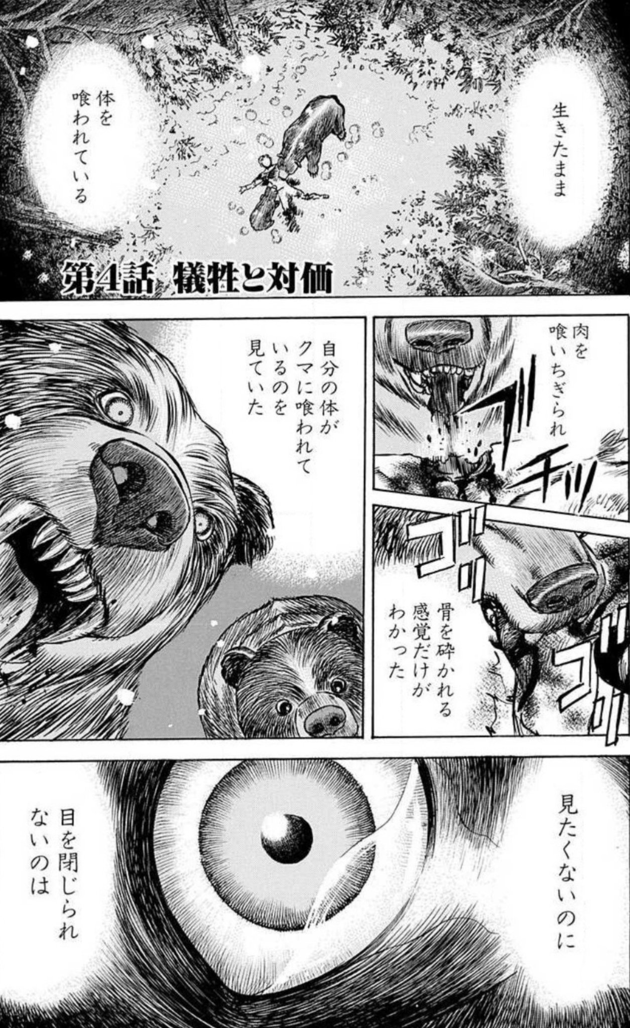 シャトゥーン マイコ シャトゥーン マイコ