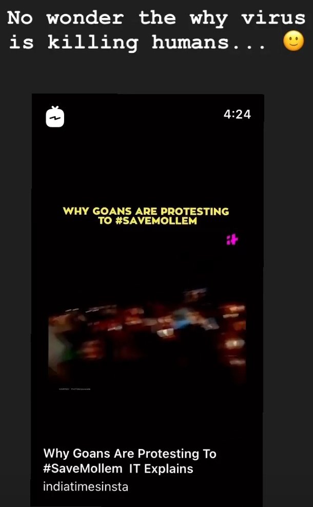 Paresh__2000's tweet photo. #SaveMollem - Should ease of doing business cost Goa 70,000 trees? From London to streets of Goa, everyone is protesting and asking the same question.

Petition link in the bio
#savetrees 
https://t.co/wp8ccKOENu https://t.co/czny7LtdMw