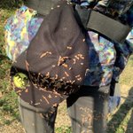アウトドア派の人は知っておくといつか役立つかも？ひっつき虫はウェットティッシュで取るのが良い？!