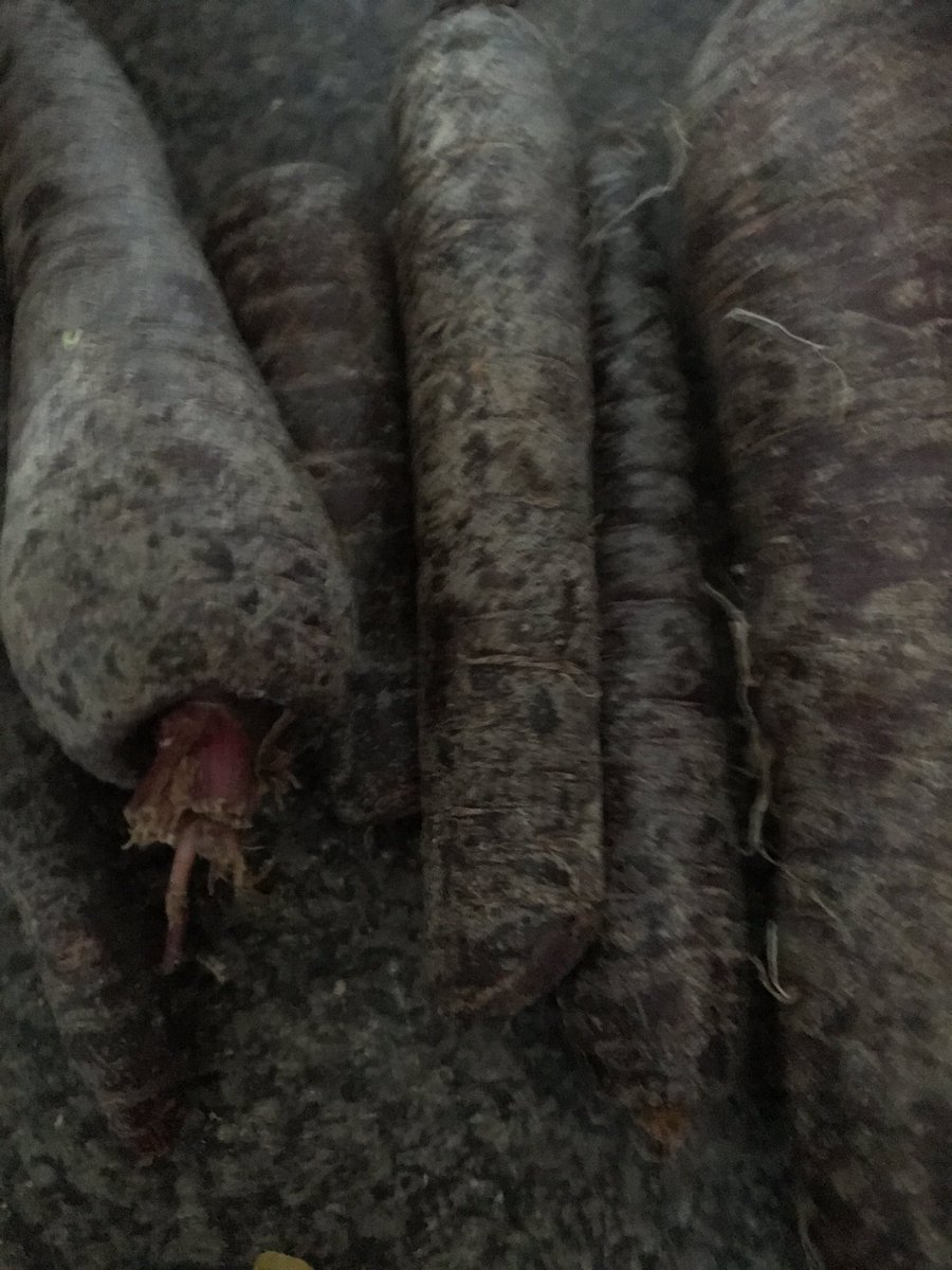 #Purple carrots just picked  out of the garden