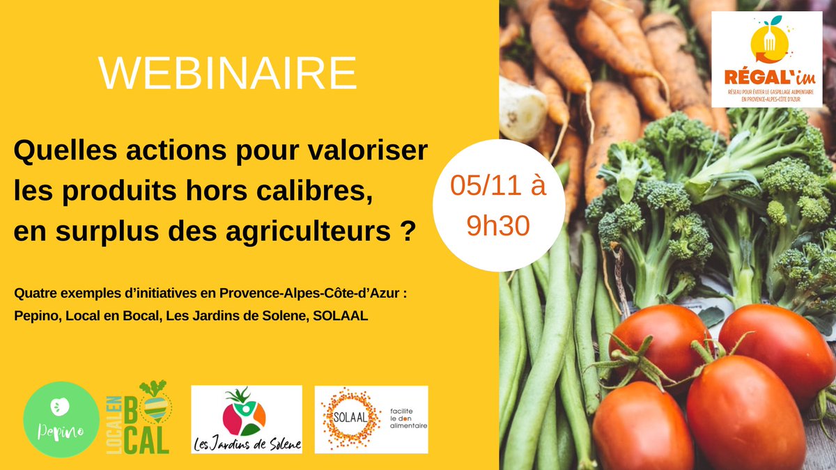 REGALim_Sud's tweet photo. [WEBINAIRE] J-1 avant le webinaire du REGAL' im sur les initiatives régionales visant à valoriser les produits hors calibres/en surplus des agriculteurs. 

Inscrivez-vous vite ! https://t.co/6BkoXkk2e3 https://t.co/38wmCuCKTd
