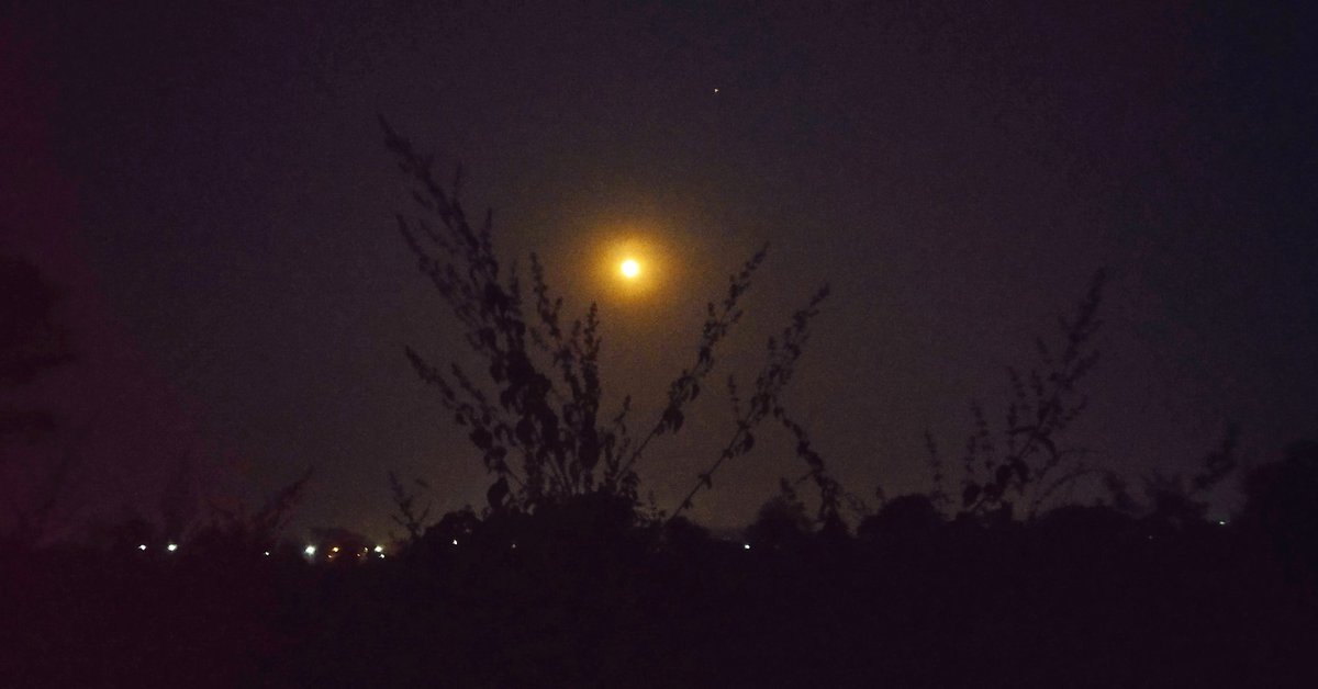 Mytinyworld21_'s tweet photo. 🧘🏻‍♂️ “Yours Is The Light By Which My Spirit's Born: - You Are My Sun, My mlMoon, And All My Stars.” , 🌕🌔🌝🌛🌜itar https://t.co/PmrC95BCf8