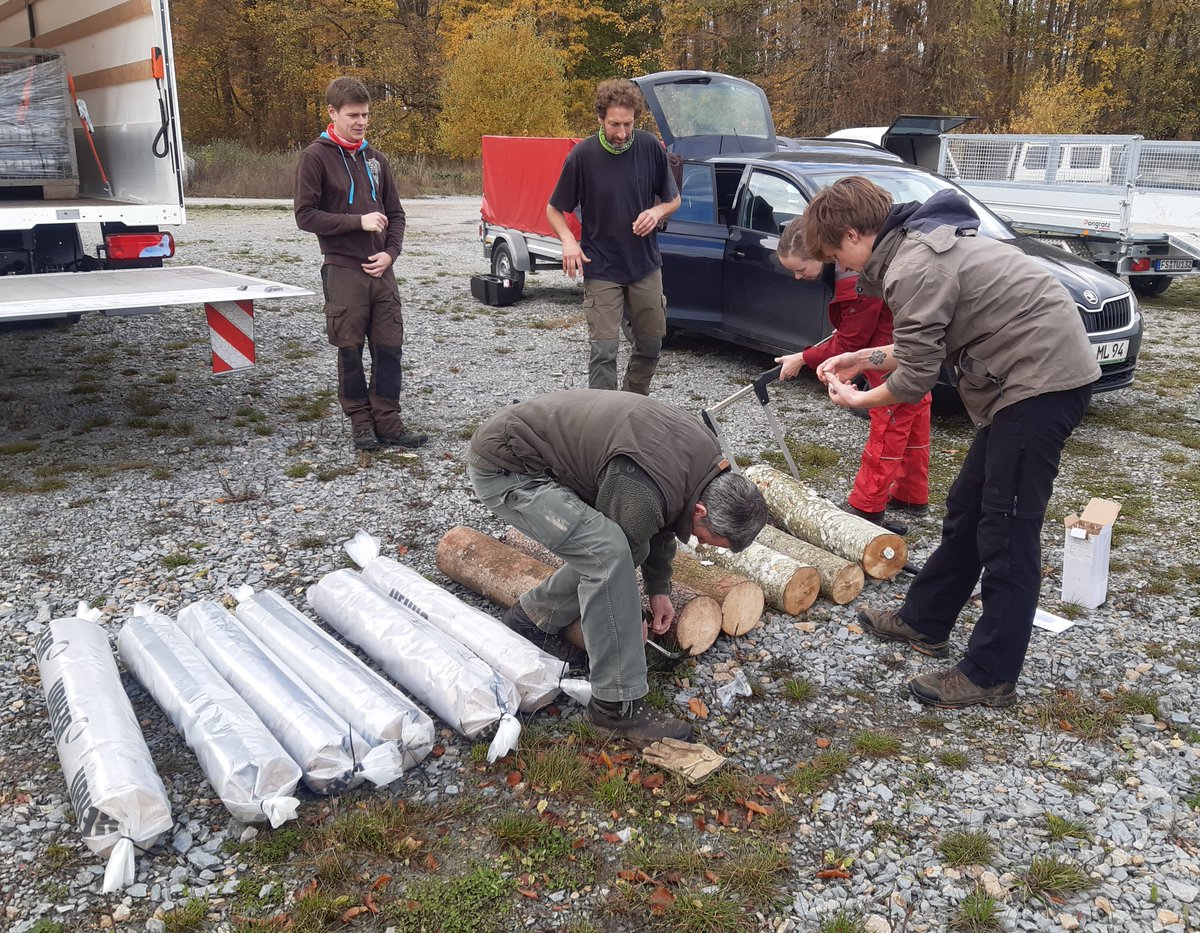 BExplo_de's tweet photo. Neue Totholzstämme im #BELongDead Projekt werden aktuell im #HainichExploratorium ausgebracht #BESterile. @goetheuni @UFZ_de @IHI_Zittau
https://t.co/PMFqCz3zs5 https://t.co/nNQB74K8yq
