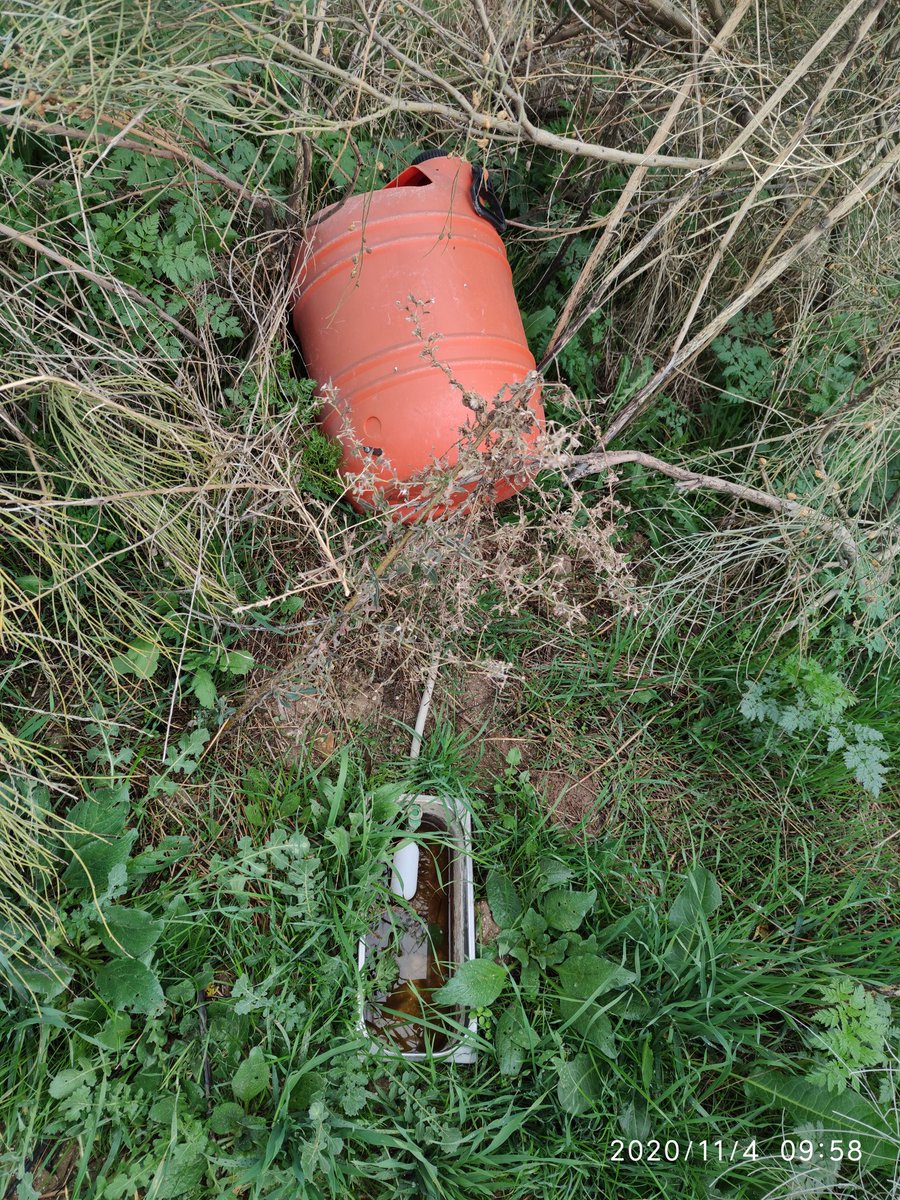 Paseando por nuestro maltratado Parque Natural, he encontrado esto. ¿Alguien sabe que es o que hace aquí? Buen día a todos.