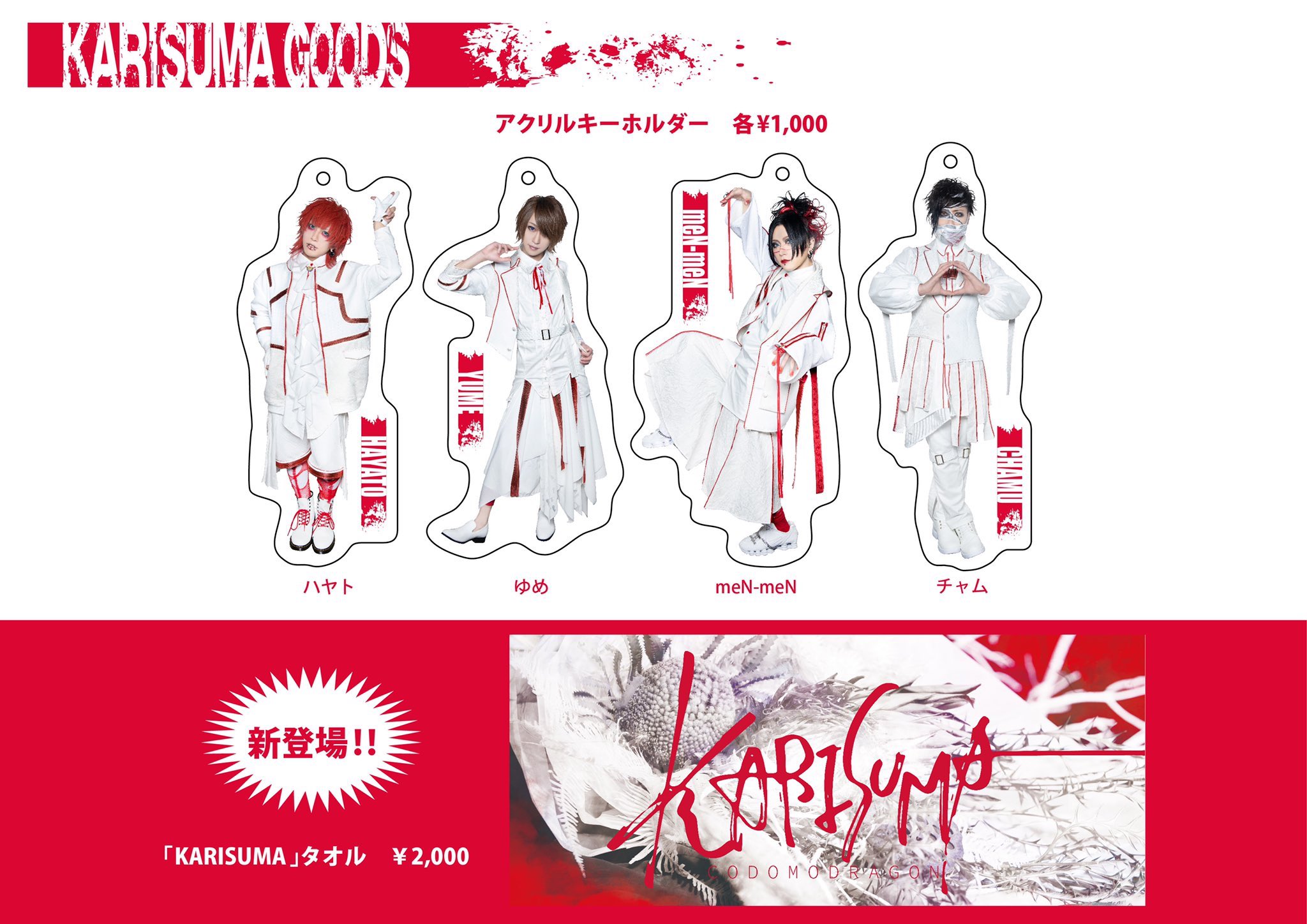 コドモドラゴン ハヤト アクリルキーホルダー セット