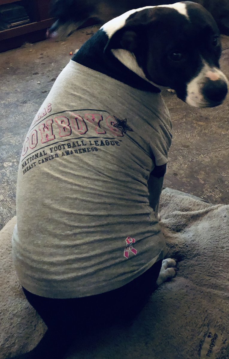 MrsWildRoosters's tweet photo. Even our babies are pulling for the @dallascowboys !! Luna says come on boys y’all got this 🏈🏈 Step it up and win out!! @Willyprob @EzekielElliott @michael13gallup @cedwilson95 https://t.co/8y3jwU8wEz