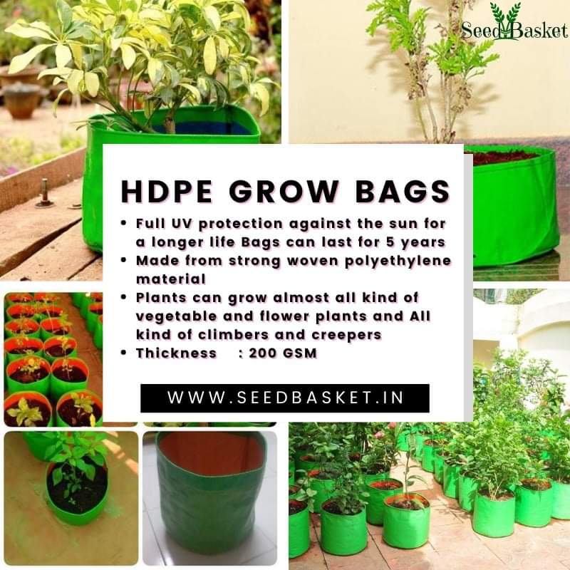 seedbasket's tweet photo. HDPE Grow Bags at best prices order online: https://t.co/200m0o20pn #growbags #HDPE #HDPEgrowbags #vegetables #vegetableseeds #nativevegetableseeds #agriculture #seeds #bestproducts #smallbusiness #plantingseeds #gardening #gardeninglife #gardenlove #seedbasket #india #Hyderabad https://t.co/UbLUJoQKvI