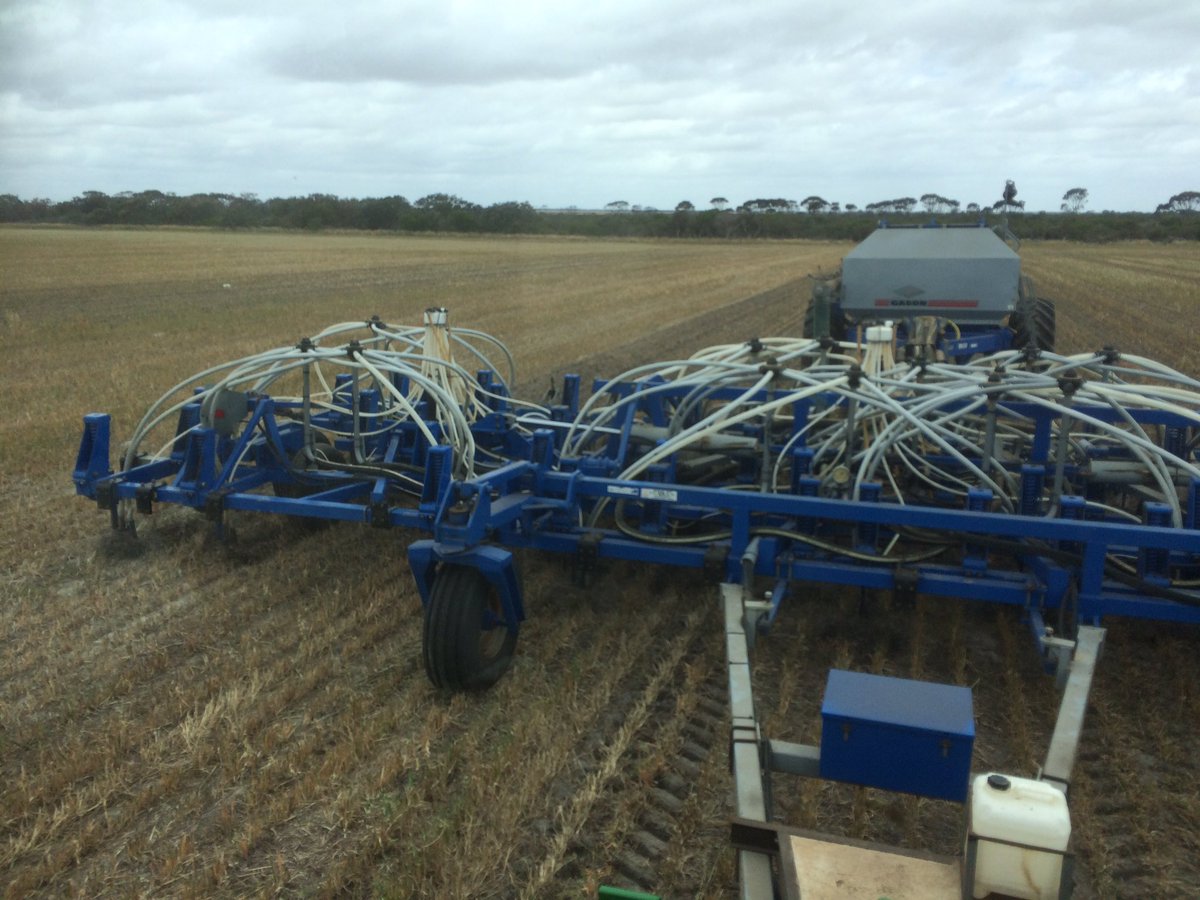Rain slowed the harvest progress a little so good chance to get some SSS sorghum into moisture on oats hay stubble