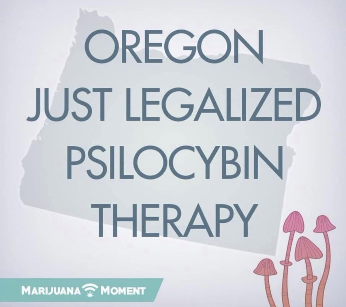 🍄🤤 #oregon #oregonelection #electionday #election2020 #psilocybintherapy