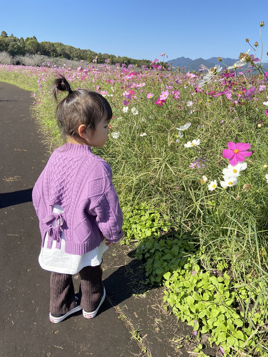 K_pyon2828's tweet photo. ももに貰ったニット〜🤍💜 https://t.co/VEvYOEB9b5