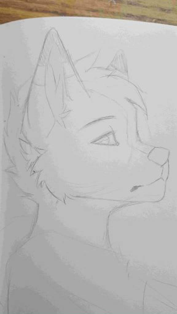 Gatzenwolf's tweet photo. @SoberDOGS Would be my first actual art piece in a long time! Good luck everyone! https://t.co/idKq1rCS3y