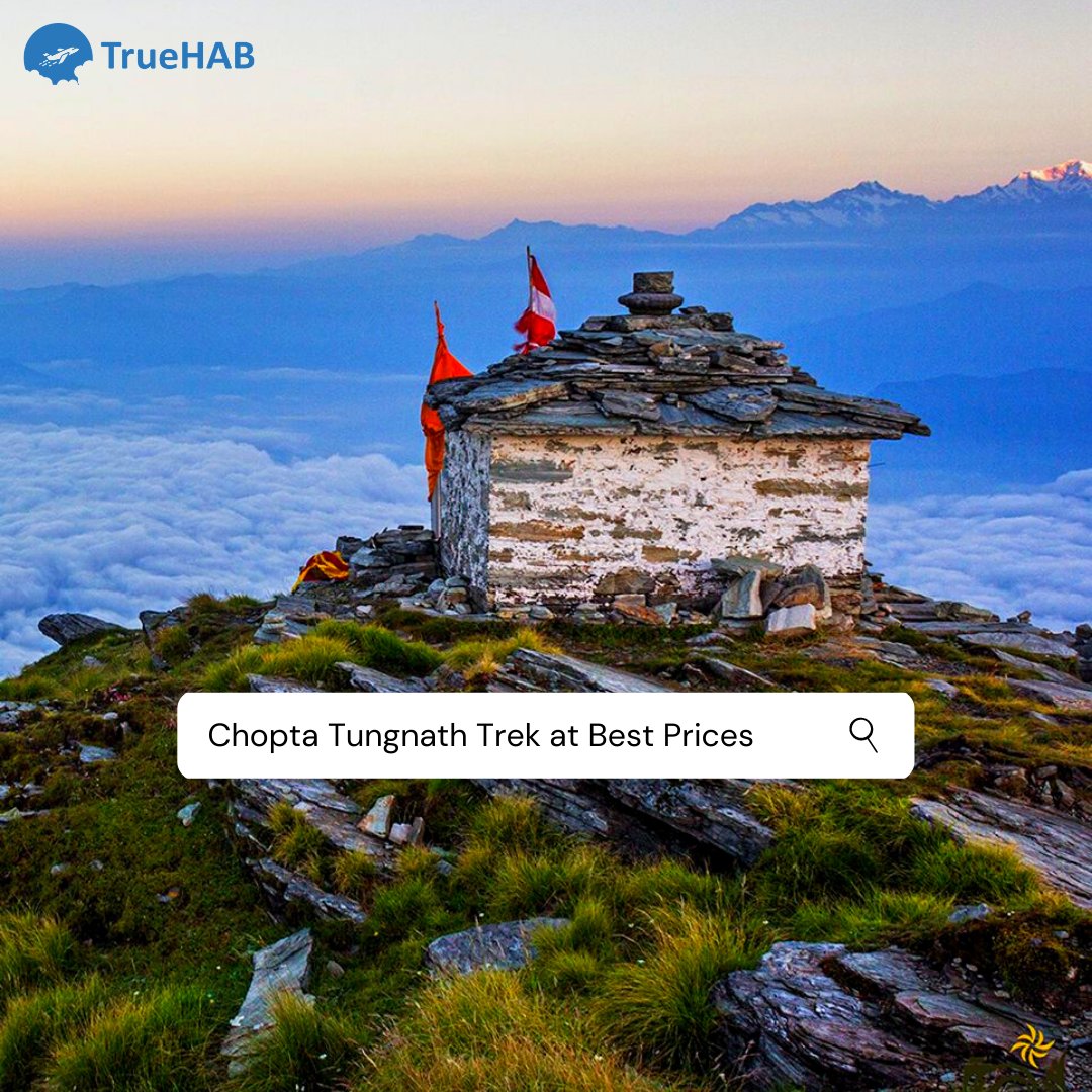 truehab's tweet photo. Chopta Tungnath Chandrashila Trek Packages starting at 2999 INR. DM or call us 80 80 96 96 96 for Offer Deal.

#chopta #tungnath #chandrashila #choptatungnath #choptatrek #choptaofficial #tungnath #tungnathtrek #tungnathtemple #tungnathmahadev #tungnathdiaries #tungnathvalley https://t.co/6XEjORbSWr
