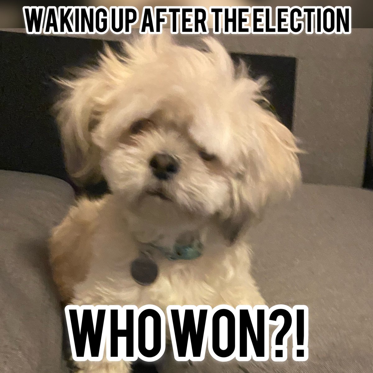 MrsGarcia1027's tweet photo. 😂😂😂 #2020Election #2020PresidentialElection https://t.co/S5QziJMWZI