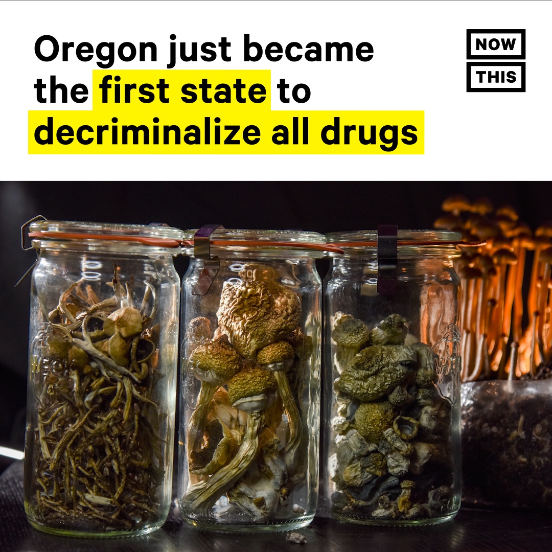 NowThis Impact tweet media