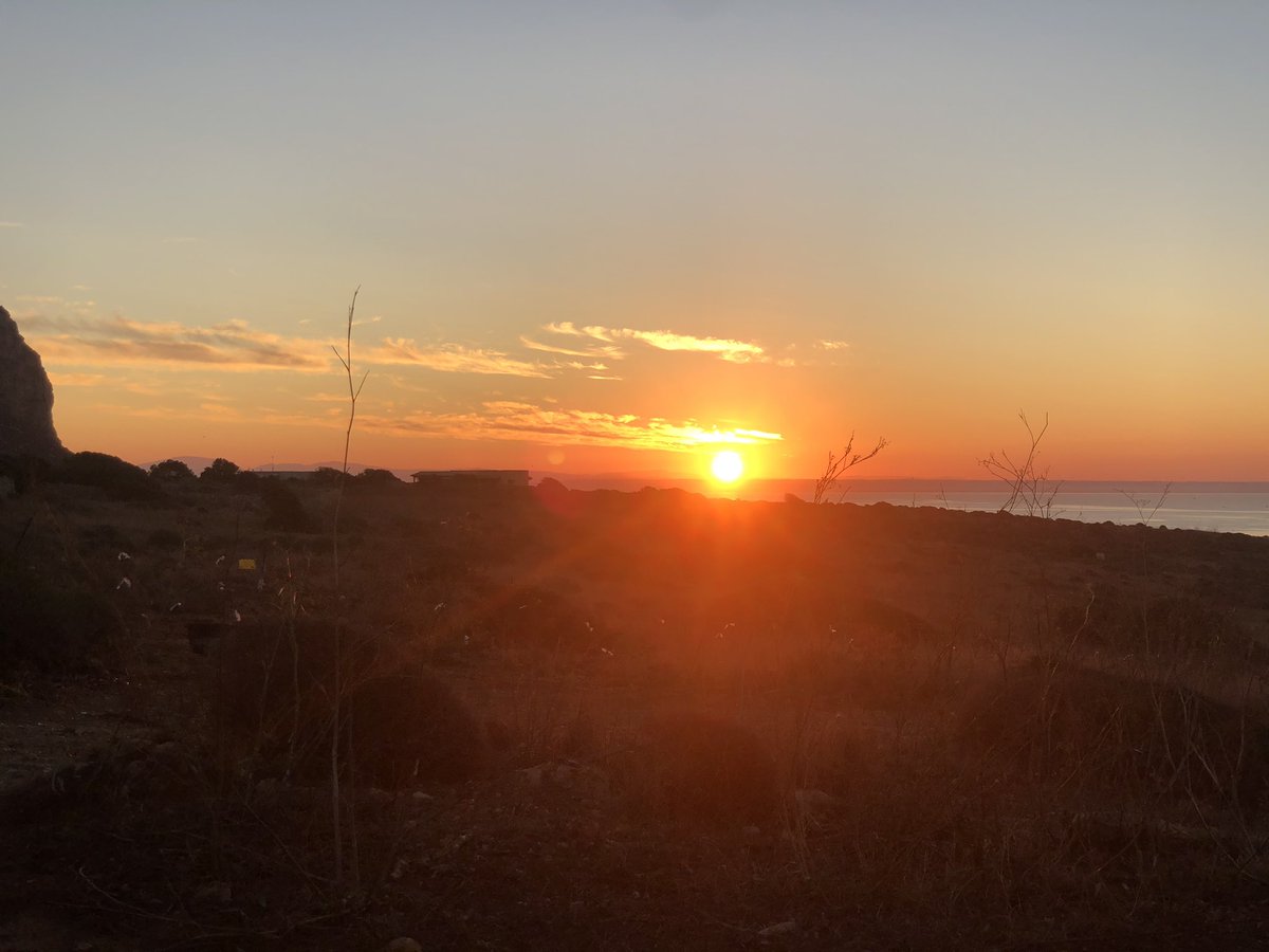 SabinaGuzzanti's tweet photo. Godiamoci il #sole finché sorge. Fieri verso la meritata estinzione https://t.co/e4HVfYeNTh