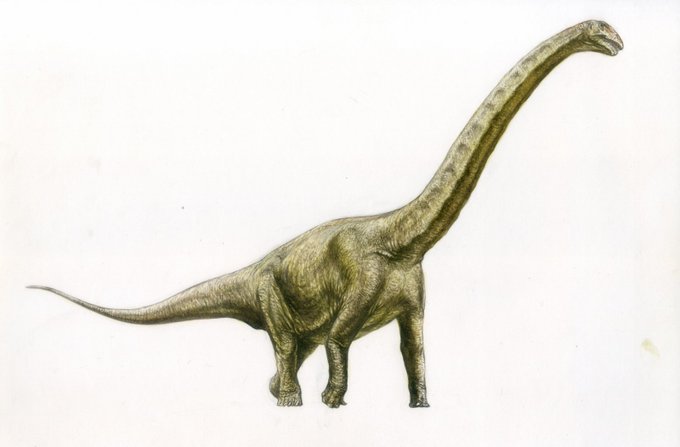プラテオサウルスのtwitterイラスト検索結果 プラテオサウルスのtwitterイラスト検索結果