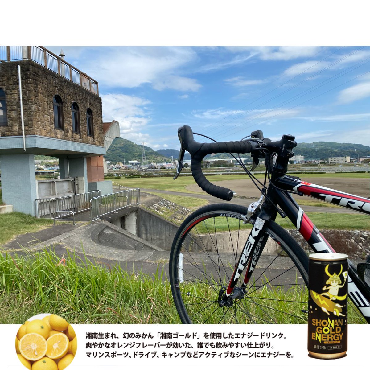 公式 湘南ゴールドエナジー Shonan Gold Energy 地域のサイクリストに湘南ゴールドエナジー サイクルデイズ サイクルショップエンドウ開成店 平塚 ボインゴサイクル 横須賀 トリップサイクル 影山輪業 大和 Drawer The Bike Store 大田区 バイクショップ
