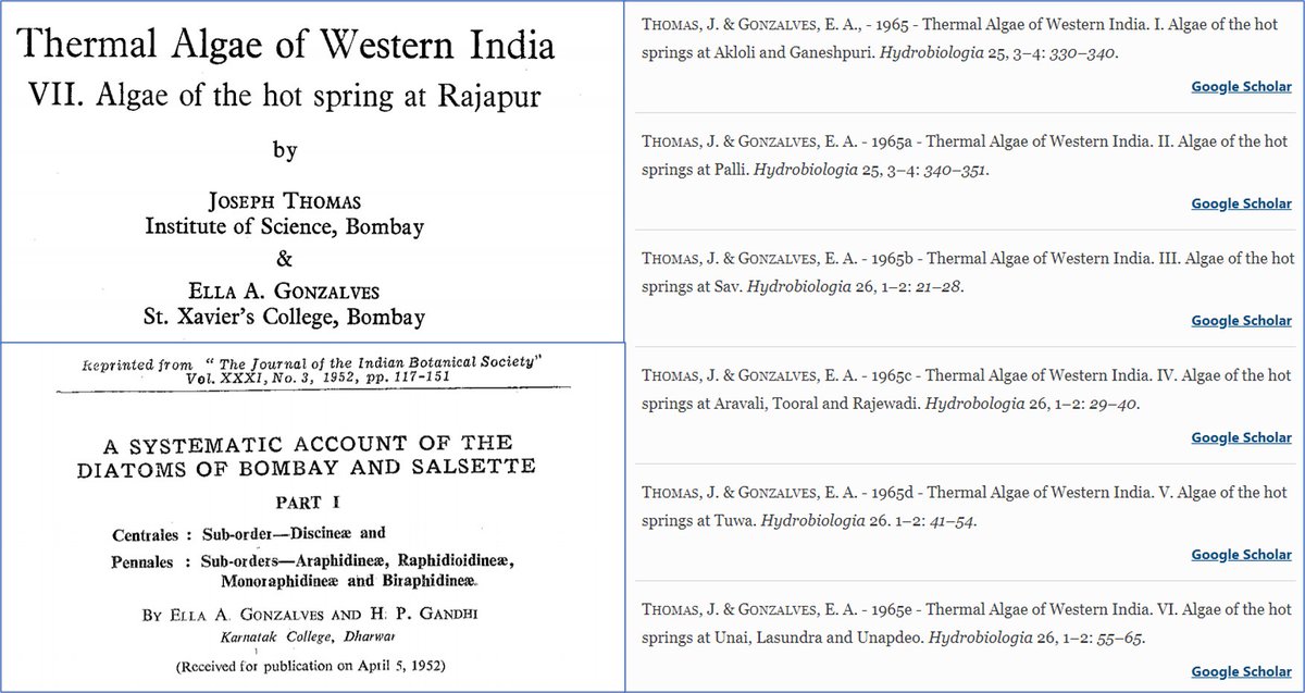 Mrs Ella Gonzalves, associated with Institute of Science, Bombay and  #StXavierCollege, Bombay. She is one of the pioneering algologists from India. She did amazing work on the  #hotspring algae of the  #Himalayas. She also trained many algologists. HPGandhi is one of them