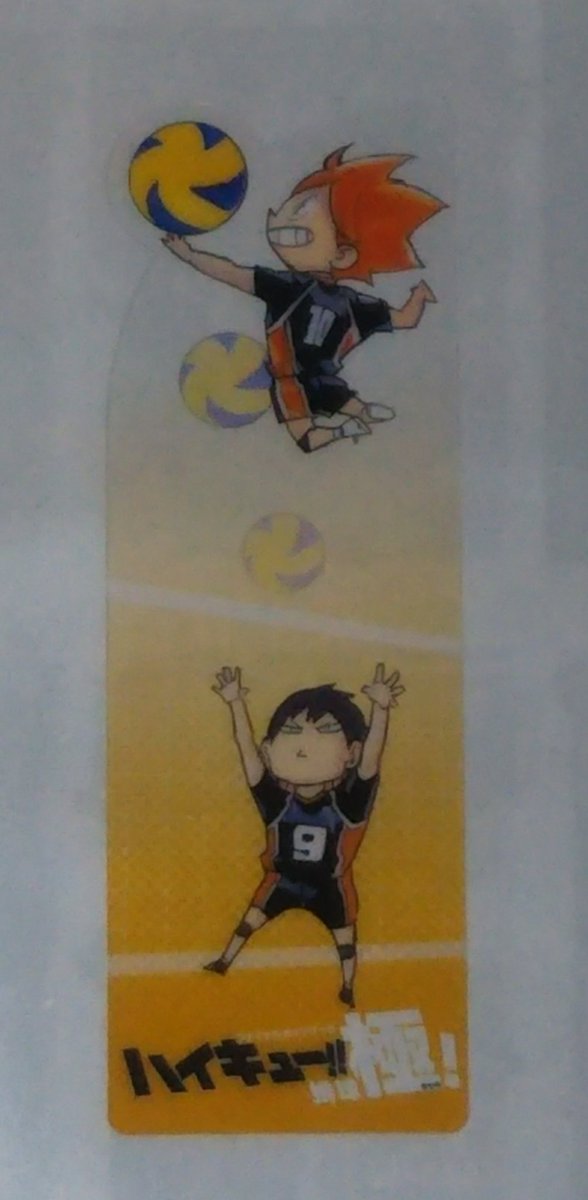 Hiro S 45巻と排球極の封入特典 最終話のカラー はアニメイト 主将あいさつ と クリアしおり は三省堂書店でもらいました ハイキュー